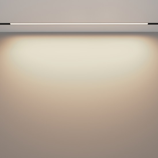Siinivalgusti Basis Exility 2700-6000K 30W 120° hämardatav DALI, Must - Valgustus Luminance'ilt