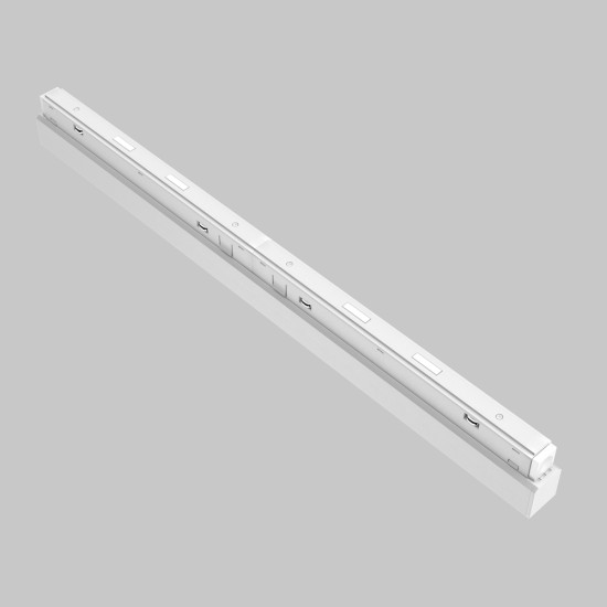 Siinivalgusti Points Exility 2700-6000K 24W 36° hämardatav DALI, Valge - Valgustus Luminance'ilt
