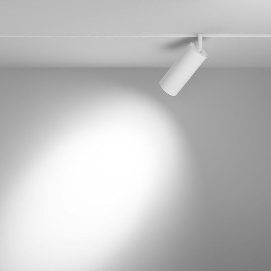 Siinivalgusti Focus Led Exility 2700-6000K 20W 36° hämardatav DALI, Valge - Valgustus Luminance'ilt