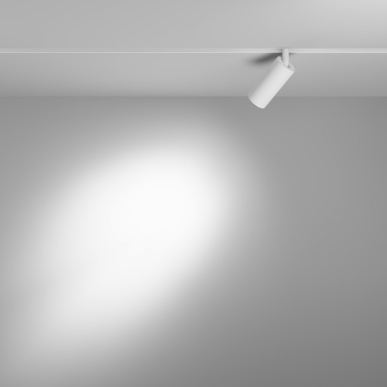 Siin Luminaire Focus LED EXILITY 2700-6000K 5W 36° Dim DALI 2, Valge - Valgustus Luminance'ilt