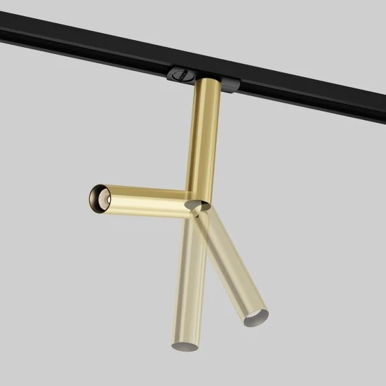 Siinivalgusti Focus Dual Unity 3000K 6W 36˚, Kuld - Valgustus Luminance'ilt