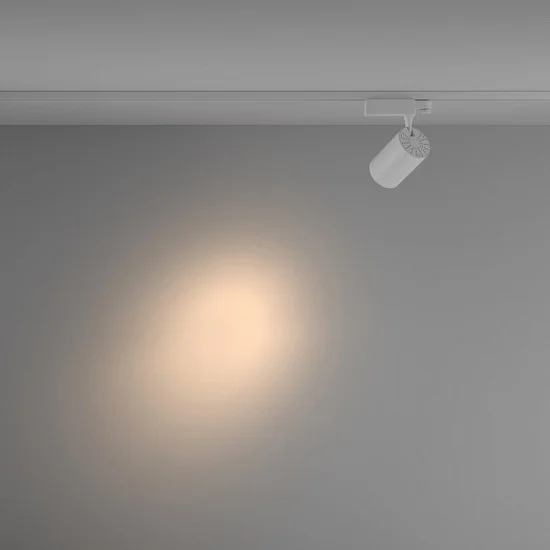 Siinivalgusti Vuoro Trinity 3000K 20W 24°, Valge - Valgustus Luminance'ilt