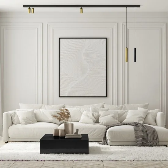 Suspended SMART SPOT track light (black) - Lighting by Luminance