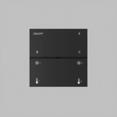 SMART wall control panel (230V) (black) - Lighting by Luminance