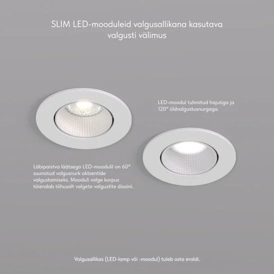 SPOT RODVIG süvistatav ümmargune valgusti (valge) - Valgustus Luminance'ilt