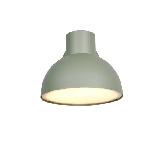 Elbe seinalamp, roheline - Valgustus Luminance'ilt