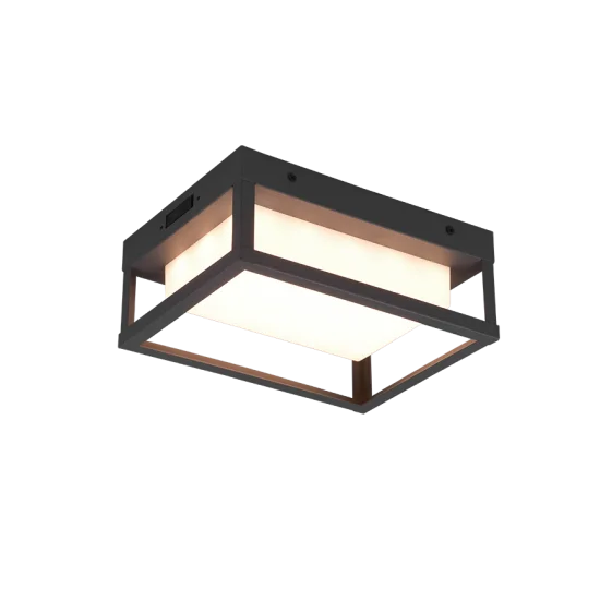 Witham seinalamp, antratsiit - Valgustus Luminance'ilt