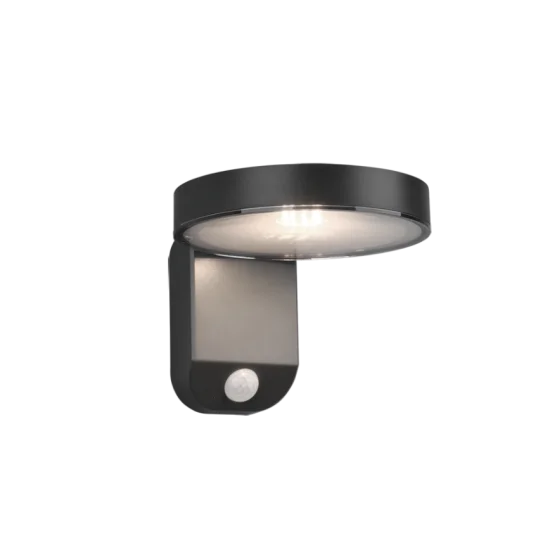 Posadas seinalamp, antratsiit - Valgustus Luminance'ilt