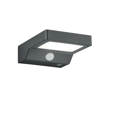 Fomosa seinalamp, antratsiit - Valgustus Luminance'ilt