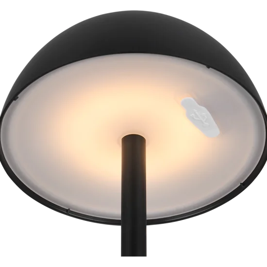 Ricardo laualamp, matt must - Valgustus Luminance'ilt