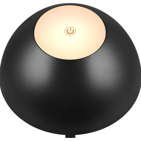 Ricardo laualamp, matt must - Valgustus Luminance'ilt