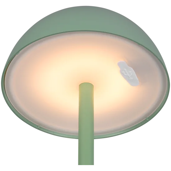 Ricardo laualamp, pistaatsiaroheline - Valgustus Luminance'ilt