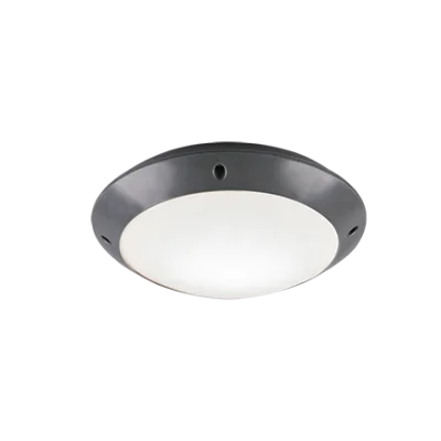 Camaro laevalgusti, antratsiit - Valgustus Luminance'ilt