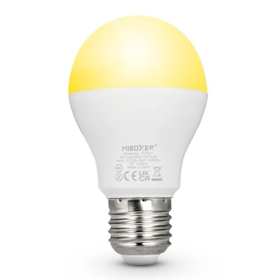 Dual white LED bulb (E27, 6W, 2.4G) - Lighting by Luminance